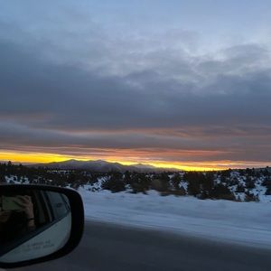 Meet your Posher, Rylee